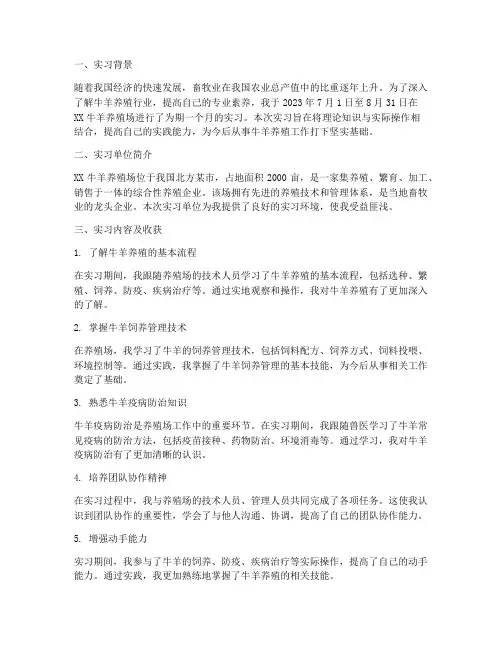 牛羊养殖场实习报告