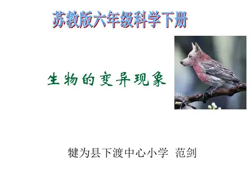 六年级下册科学课件-2.2 生物的变异现象 -苏教版
