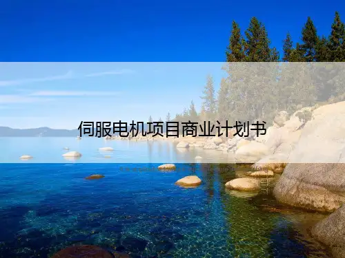 伺服电机项目商业计划书