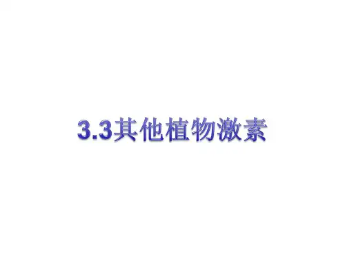 其他植物激素-高二上学期生物人教版必修3