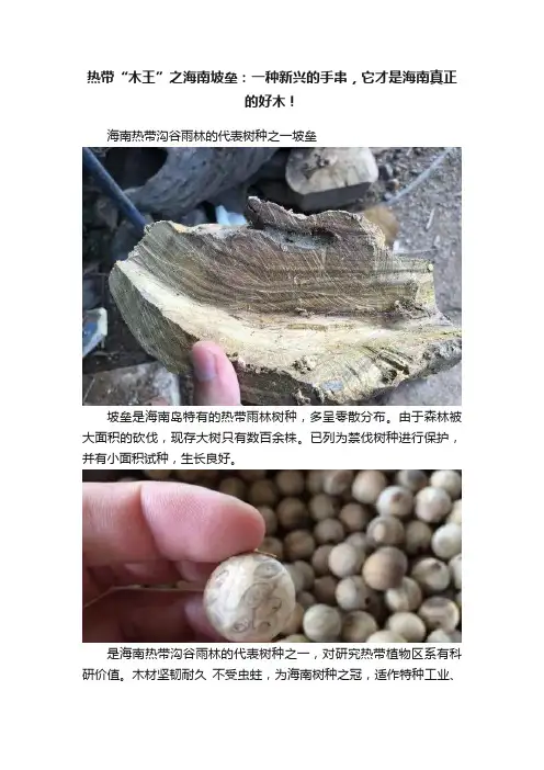 热带“木王”之海南坡垒：一种新兴的手串，它才是海南真正的好木！