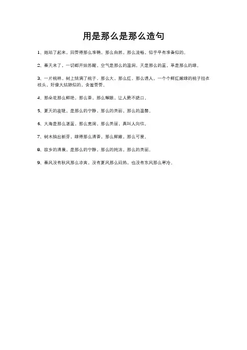 用是那么是那么造句