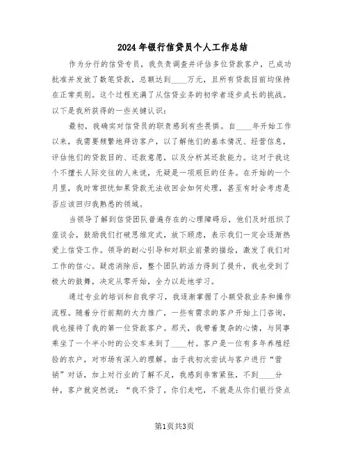 2024年银行信贷员个人工作总结（二篇）