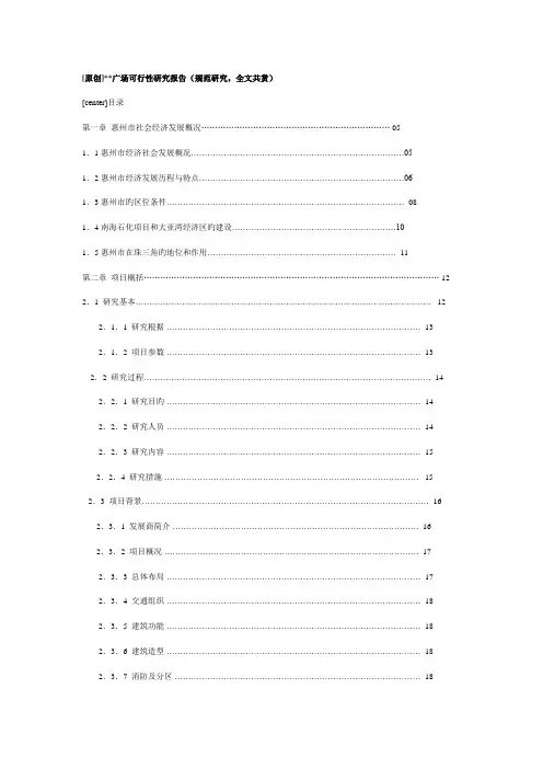 广场可行性专题研究报告