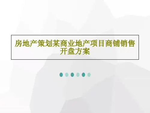 房地产策划某商业地产项目商铺销售开盘方案共47页