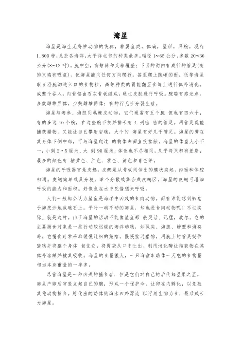 海洋文化