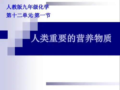人教九年级化学下册第十二单元课题1 人类重要的营养物质(共34张PPT)