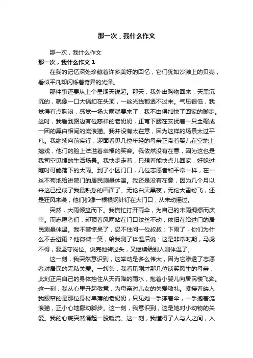 那一次，我什么作文