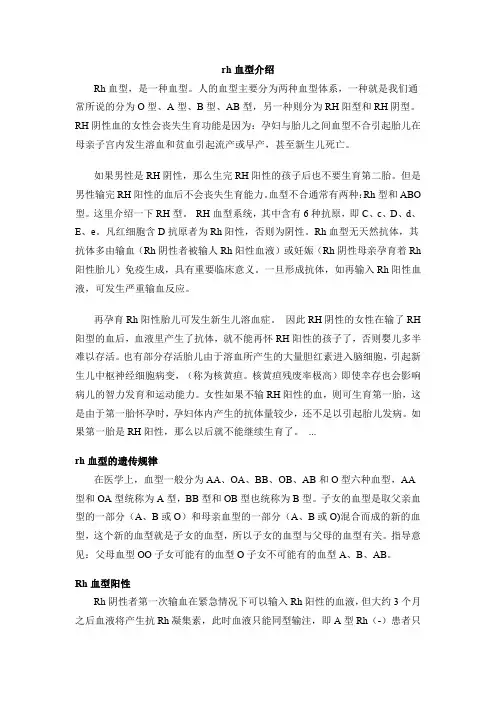 rh血型介绍