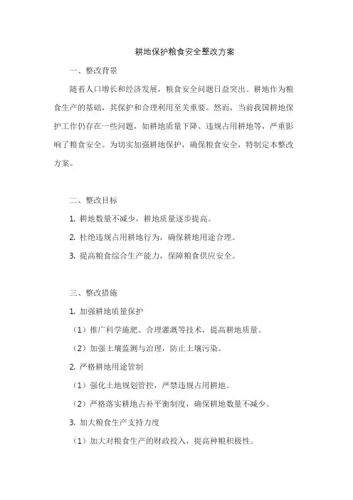 耕地保护粮食安全整改方案