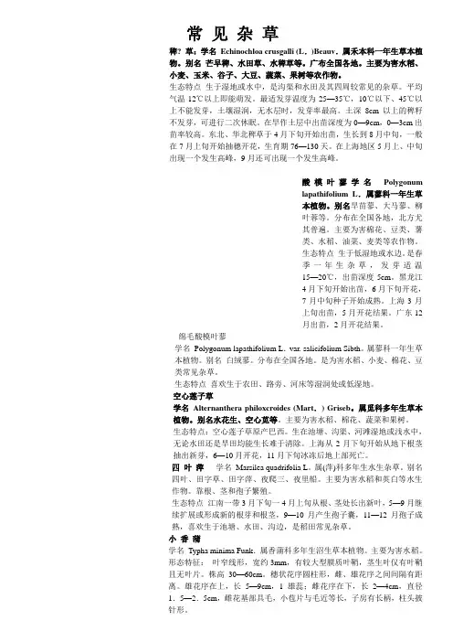 常见杂草大全修正