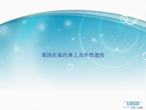 基因在染色体上及伴性遗传讲课文档