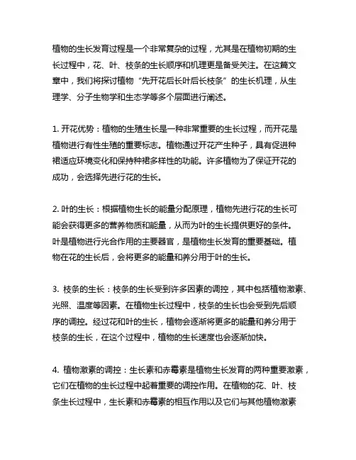 先开花后长叶后长枝条的植物机理