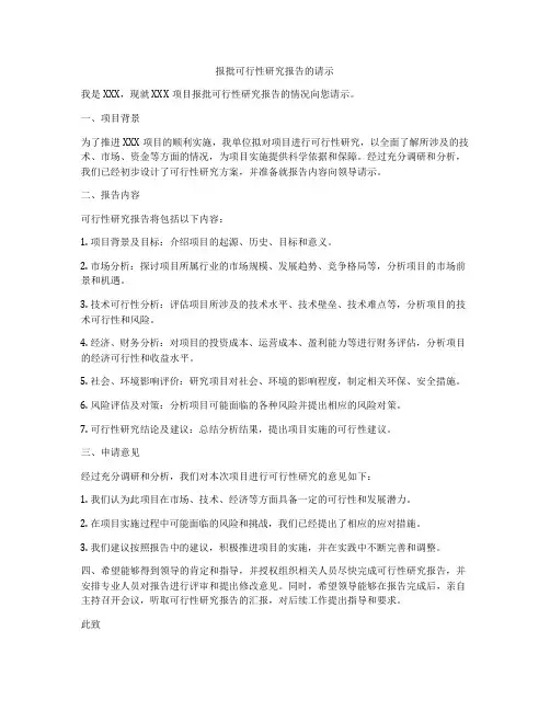 报批可行性研究报告的请示