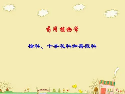 药用植物学：樟科、十字花科和蔷薇科