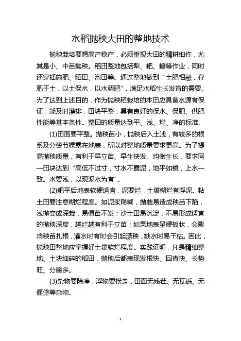 水稻抛秧大田的整地技术