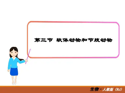八年级生物上册3第三节  软体动物和节肢动物