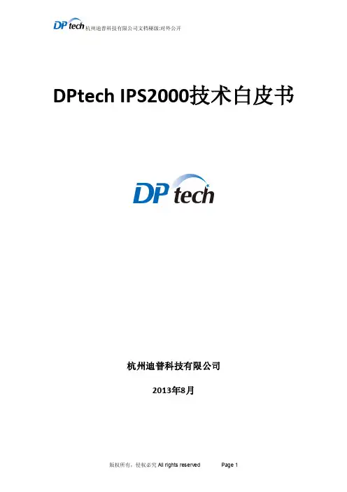 迪普 DPtech IPS 技术白皮书