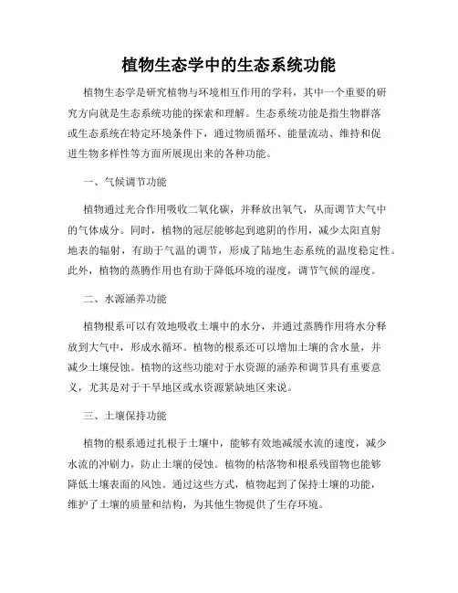 植物生态学中的生态系统功能
