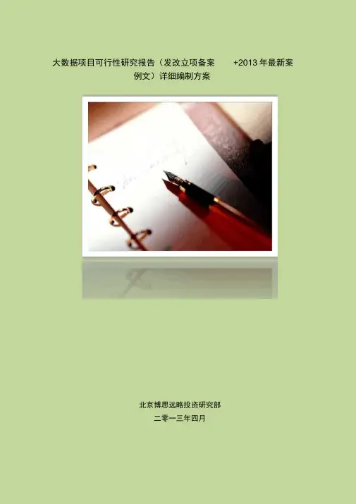 大数据项目可行性实施报告