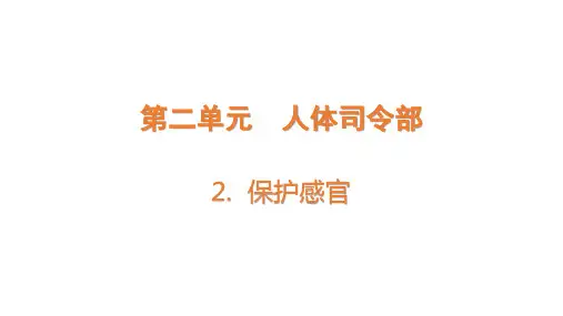 大象版小学五年级上册科学 第二单元 人体司令部 2 保护感官