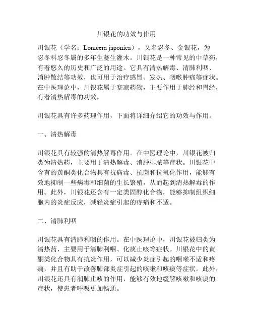 川银花的功效与作用
