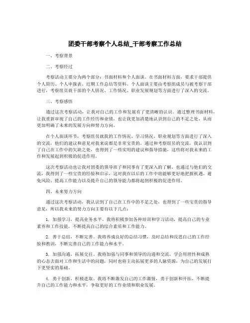 团委干部考察个人总结_干部考察工作总结