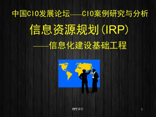 信息资源规划(IRP)  ppt课件