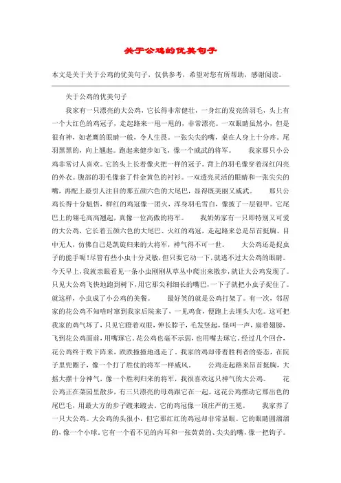 关于公鸡的优美句子