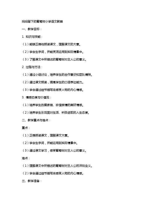 妈妈留下的葡萄树小学语文教案