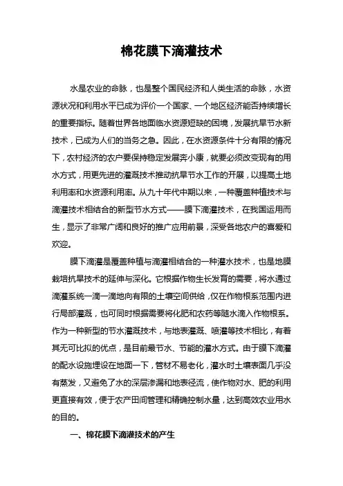 棉花膜下滴灌技术