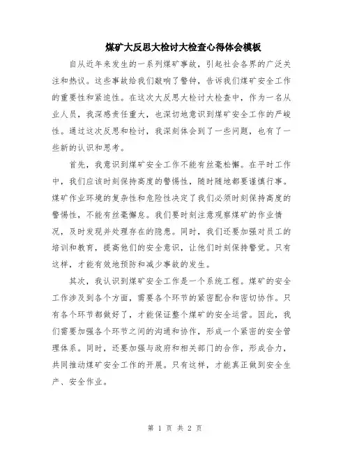 煤矿大反思大检讨大检查心得体会模板