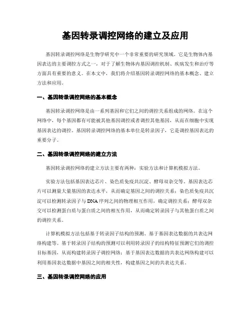 基因转录调控网络的建立及应用