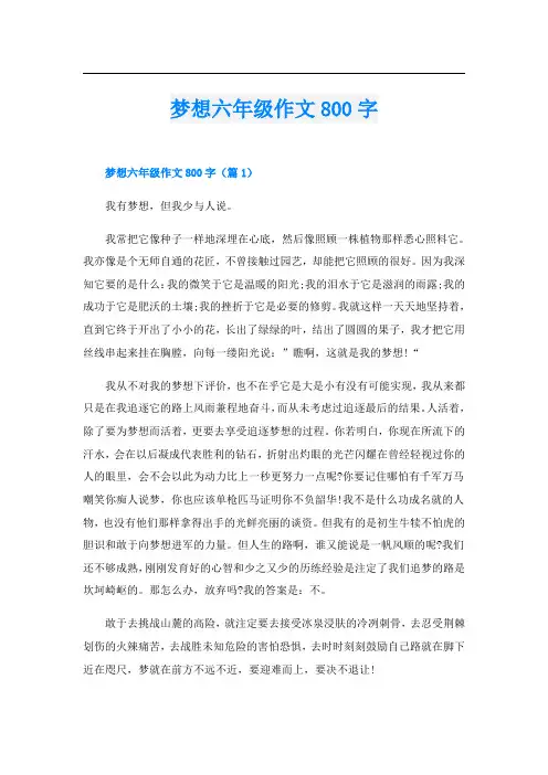 梦想六年级作文800字