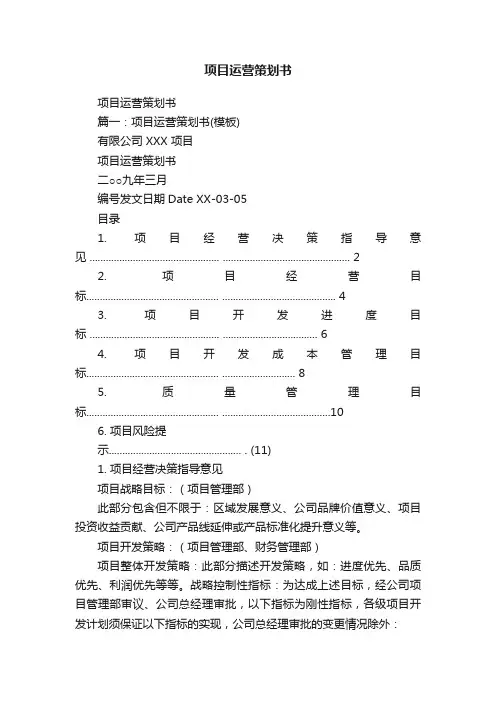 项目运营策划书