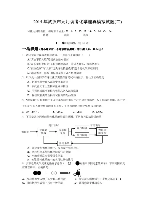 2014年武汉市元月调考化学逼真模拟试题及答案(二)