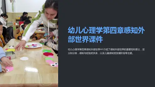 幼儿心理学第四章感知外部世界课件