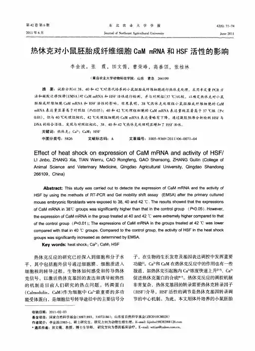 热休克对小鼠胚胎成纤维细胞CaM mRNA和HSF活性的影响