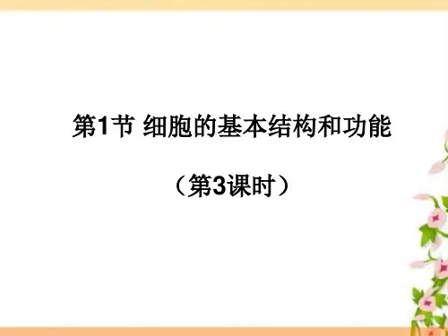 因考改18-19第3章细胞--第1节第3课时装片制作