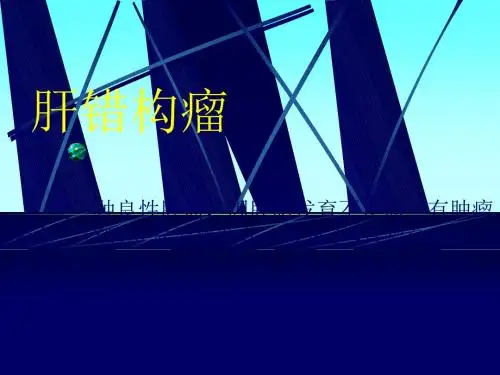 肝错构瘤ppt课件