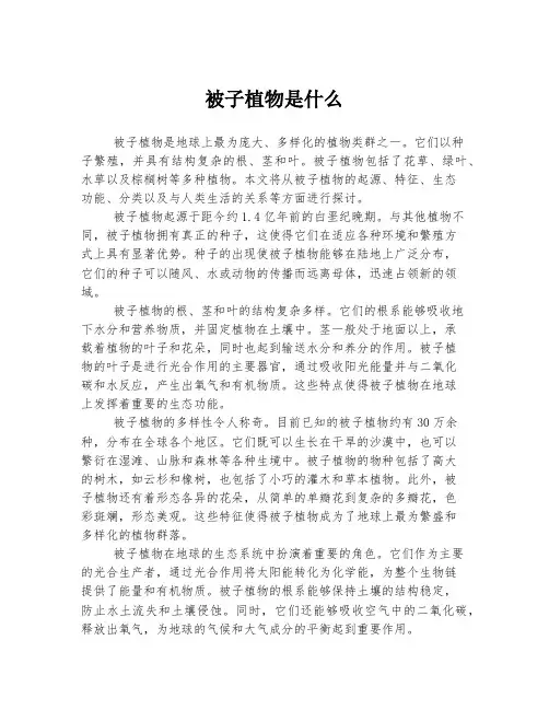 被子植物是什么
