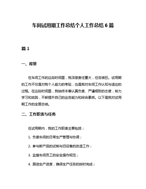 车间试用期工作总结个人工作总结6篇
