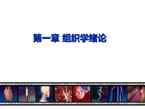 第1章 组织学绪论课件