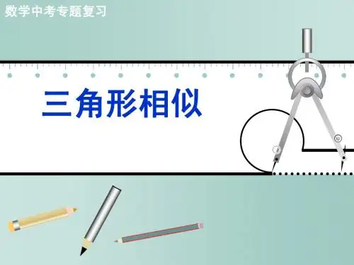 中考专题复习[25]ZZzzl三角形相似