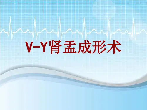 手术讲解模板：V-Y肾盂成形术