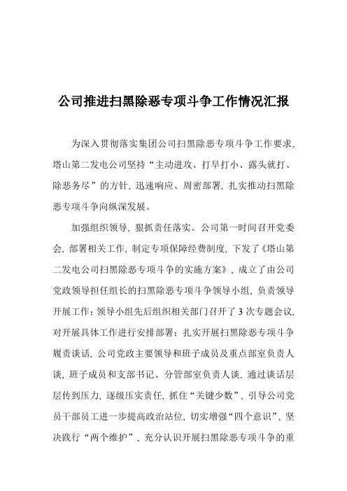 公司推进扫黑除恶专项斗争工作情况汇报