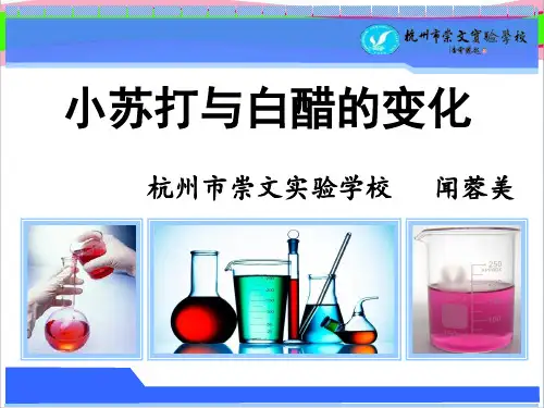 小苏打与白醋的变化   大赛获奖精美课件PPT