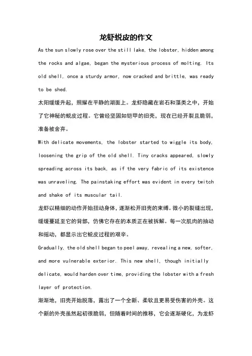 龙虾蜕皮的作文
