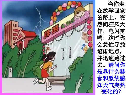 人教版七年级下册生物学第六章第一节人体对外界环境的感知