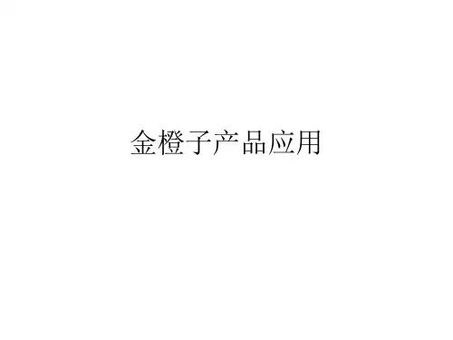 培训